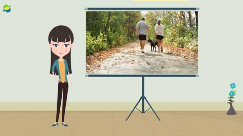 Learn Portuguese online with Studying Portuguese